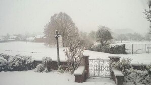 A snow-covered landscape with a gate, a tree, and a building in the background. - Winton House (Stratford-upon-Avon)