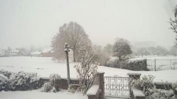 Vista desde la propiedad