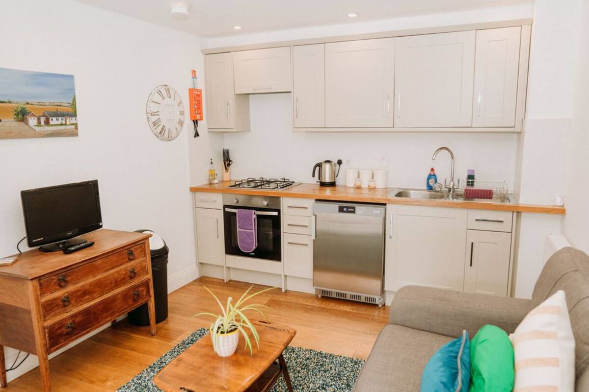 A compact living space with a kitchenette, a dining area with a wooden table and a plant, a sofa with cushions, and a television on a wooden dresser.