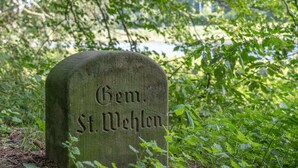 Una lápida de piedra con la inscripción "Gem. St. Mehlen" rodeada de follaje.