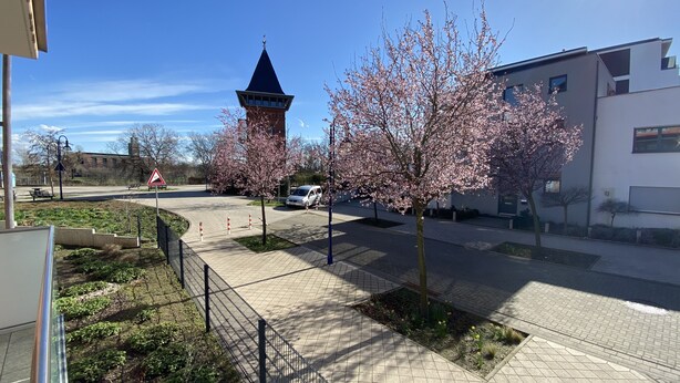 A paved walkway with cherry blossom trees, a tower, and a modern building. - Privatunterkunft AARON (Magdeburg)
