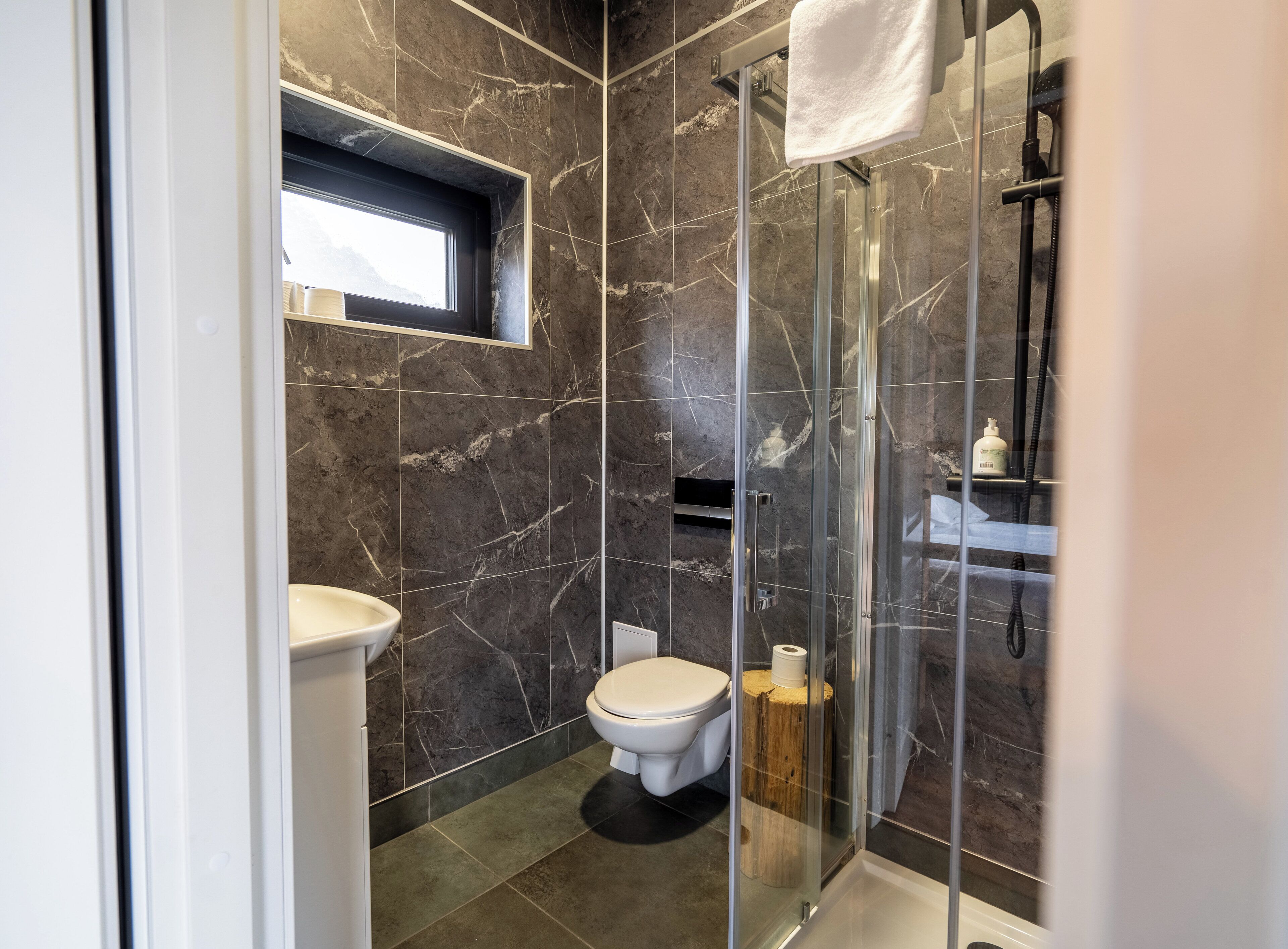 A modern bathroom with a glass-enclosed shower, a toilet, and a sink.