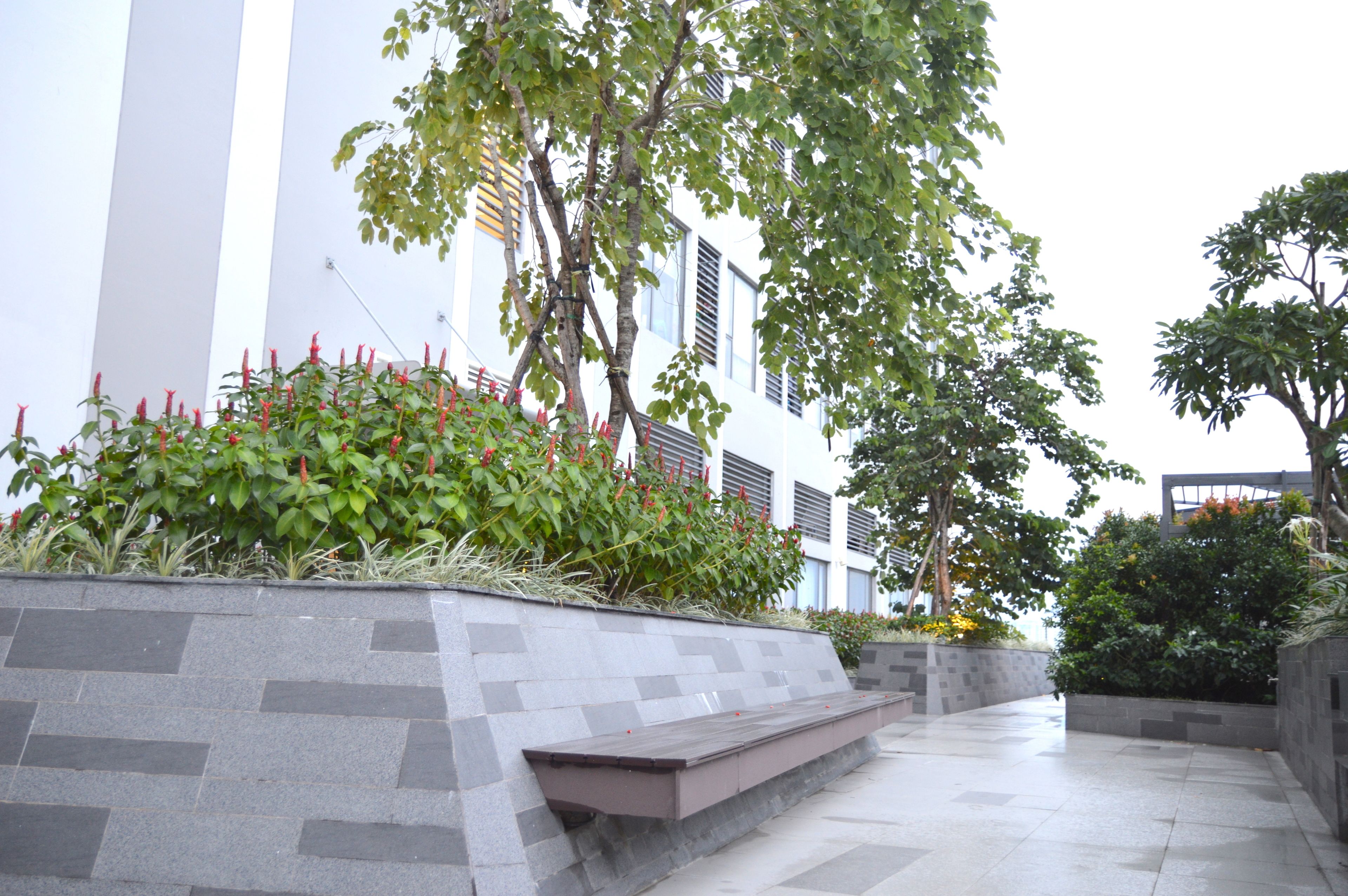 A modern building with a tiled walkway, a bench, and various plants.