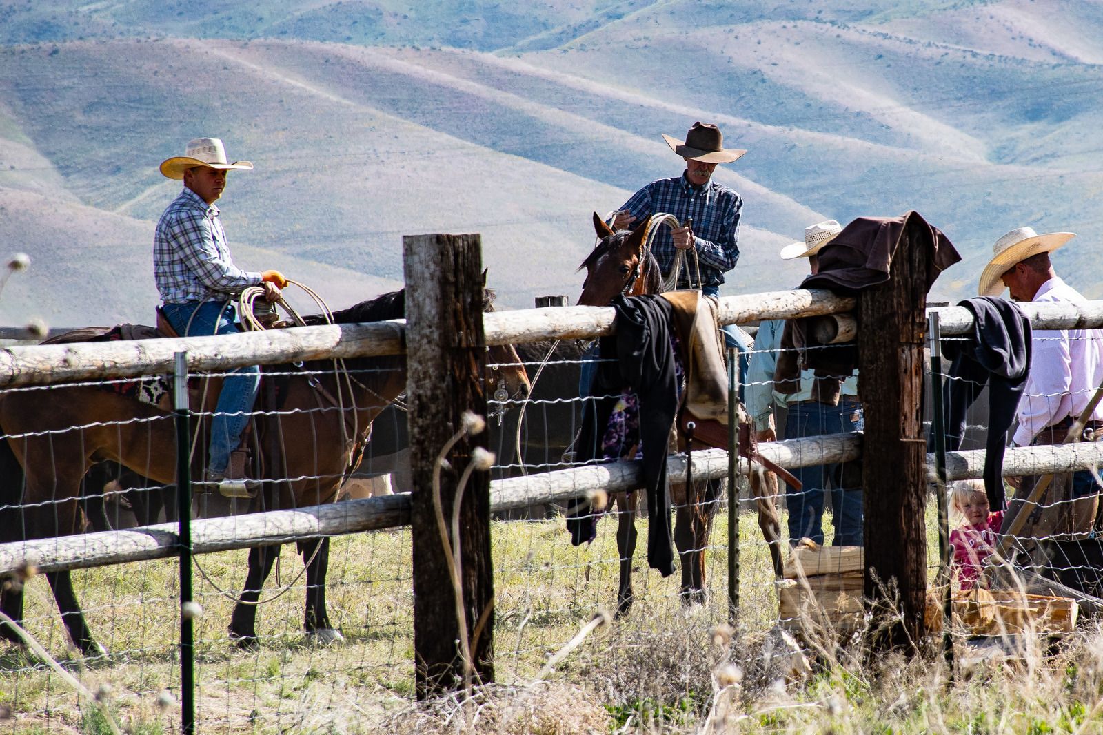 A rural setting with a wooden fence and horses.