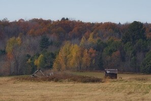 Paisatge rural amb una petita construcció de fusta, possiblement una caseta o graner, envoltat de camps i arbres amb fullatge d'octubre.