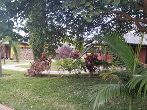 A garden with various plants and a building with a thatched roof.