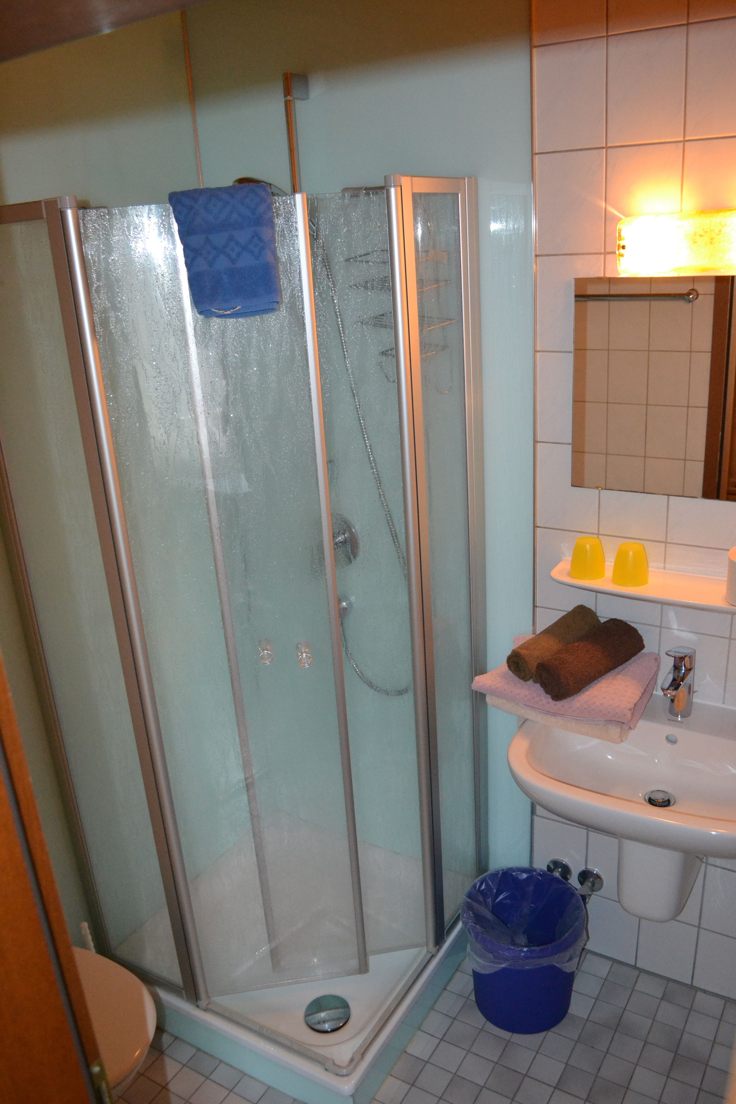 twin room | bathroom | shower, hair dryer, towels