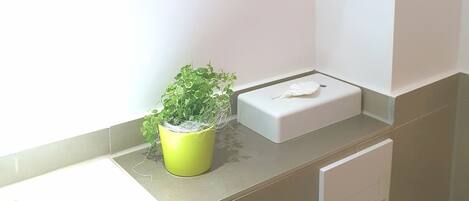 Une salle de bain avec des toilettes, un petit miroir, une plante en pot et une boîte de mouchoirs.