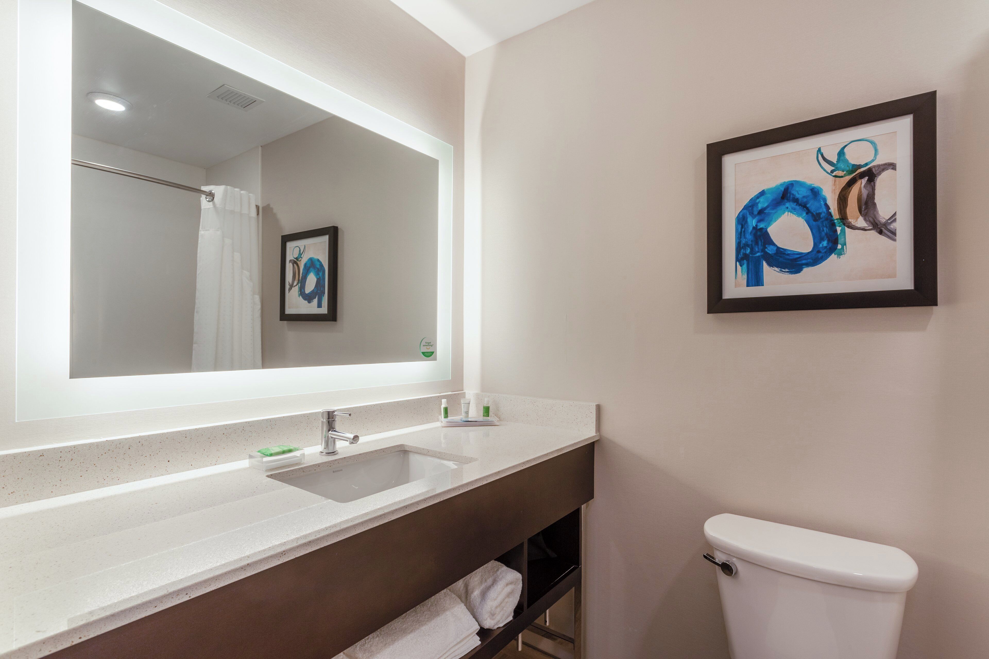 A bathroom with a large mirror, a sink, a toilet, and a framed artwork on the wall.