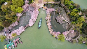 Eine Vogelperspektive auf einen Park mit einer Bootsanlegestelle, einer Brücke und Kirschblüten.