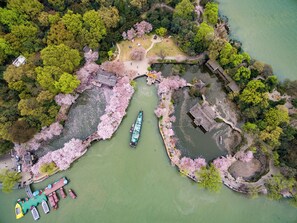 An aerial view of a park with a boat dock, a bridge, and cherry blossoms. - Holiday Inn Wuxi Taihu New City by IHG (Wuxi)