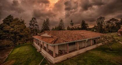 Mobile Hotel iDestinos