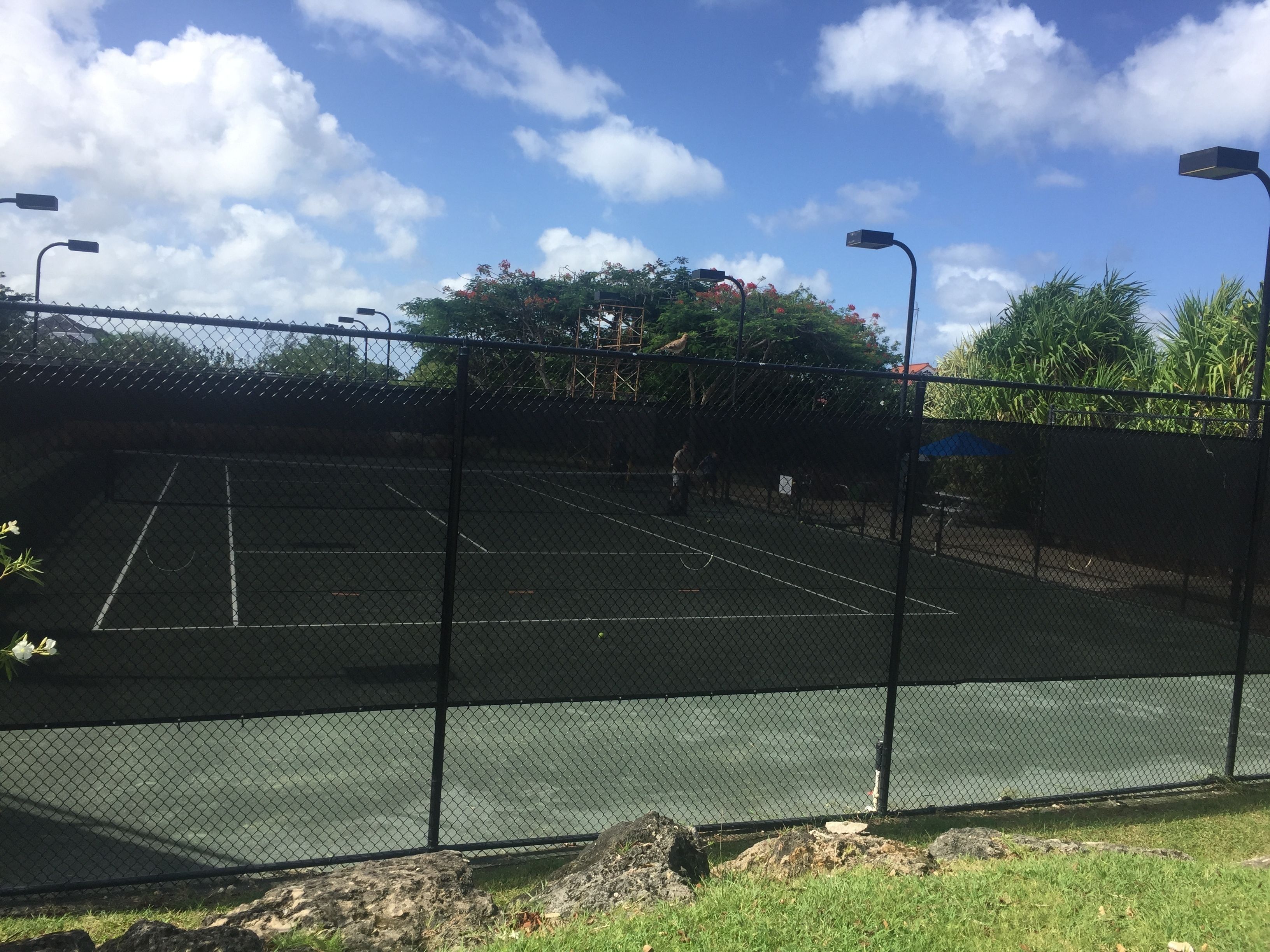 Una cancha de tenis rodeada por una cerca de malla metálica, con un cielo despejado y árboles al fondo.