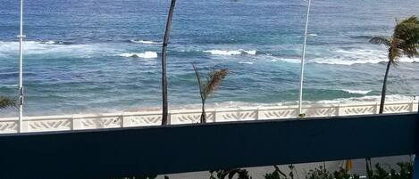Vista do oceano com ondas, palmeiras e uma cerca branca.