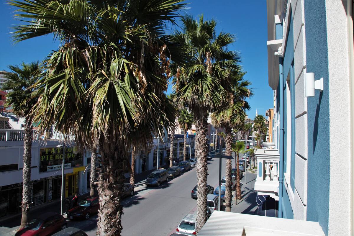 A street lined with palm trees and buildings, including a tattoo parlor.