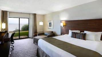 Desk, blackout drapes, soundproofing, iron/ironing board