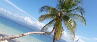 Cabañas Isla Nubesidub San Blas