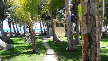Taman