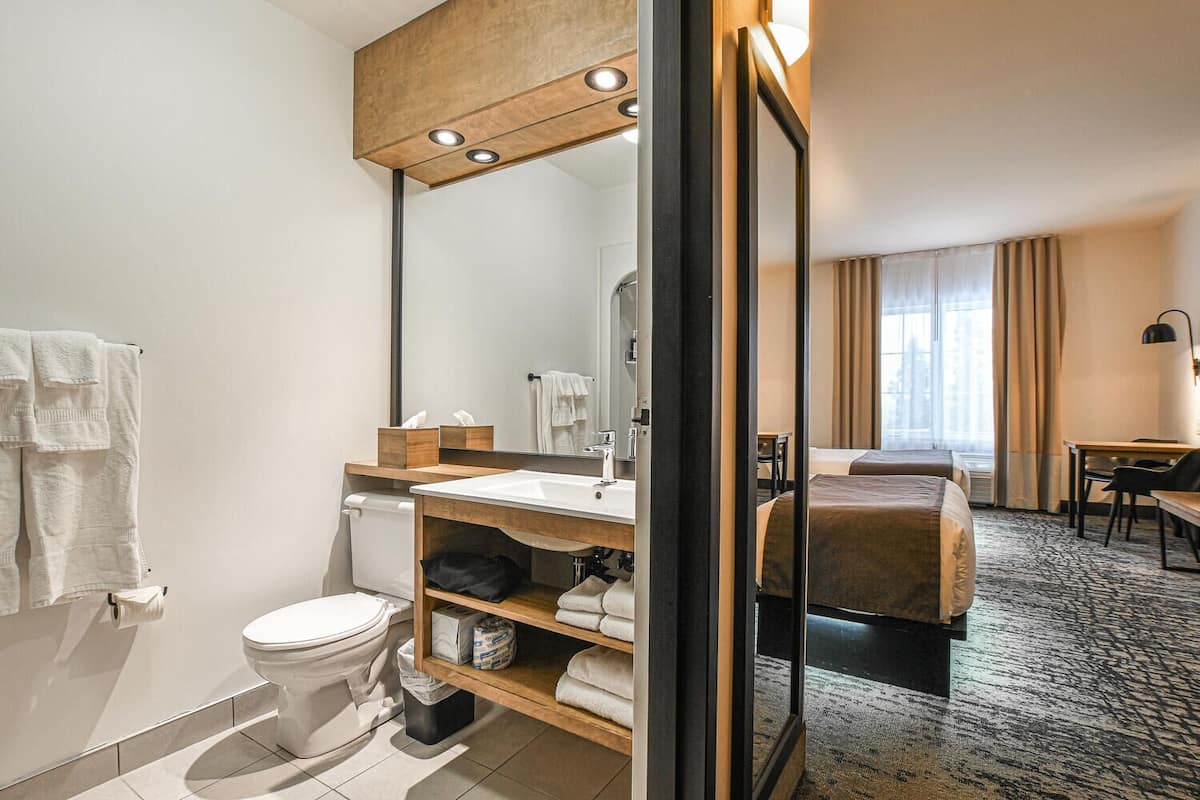 shower, free toiletries, hair dryer, towels