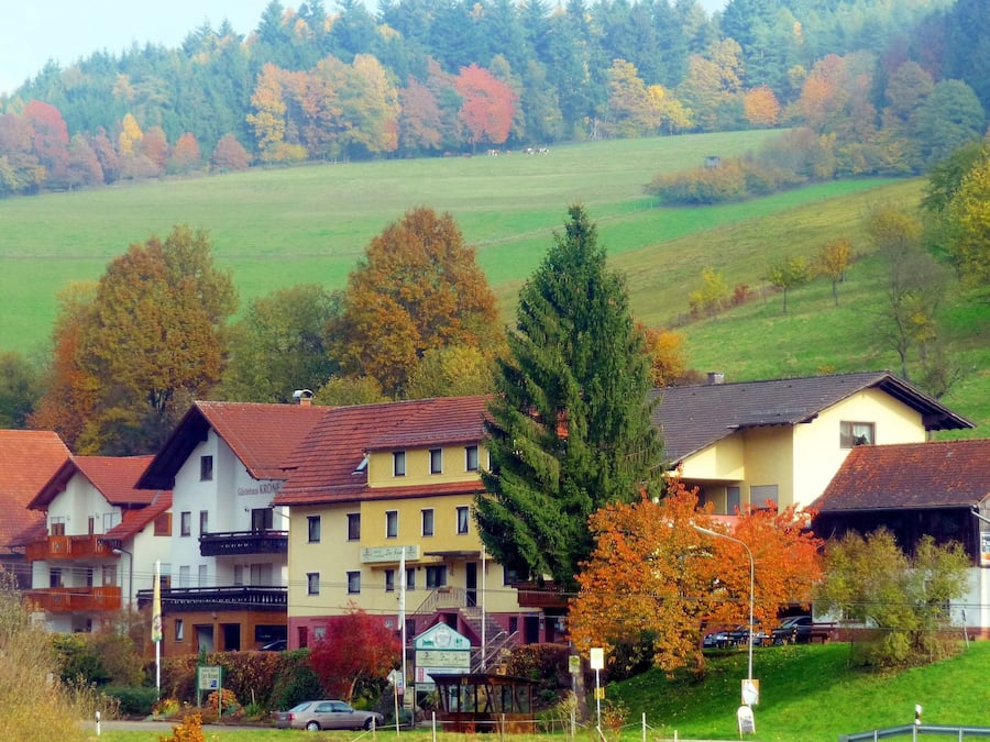 Exteriör