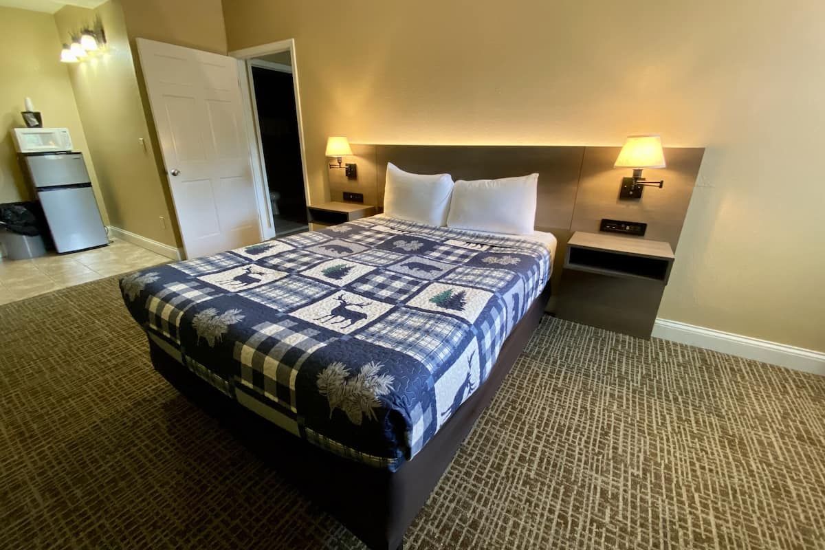 Una habitación de hotel con una cama grande, dos mesitas de noche con lámparas, un microondas y un refrigerador.