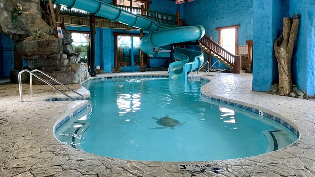 Una piscina interior con tobogán, una tortuga y una escalera de madera.