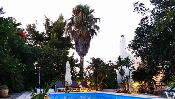 A swimming pool surrounded by palm trees and lounge chairs, with a stone pathway leading to the pool. - Villa Irene (Kos)