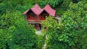 A two-story house with a red roof, surrounded by dense green foliage. - Hotel Orangutan (Bukit Lawang)