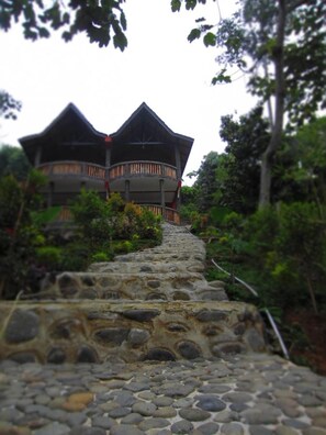 Exterior - Hotel Orangutan (Bukit Lawang)
