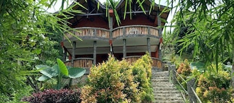 Hotel Orangutan