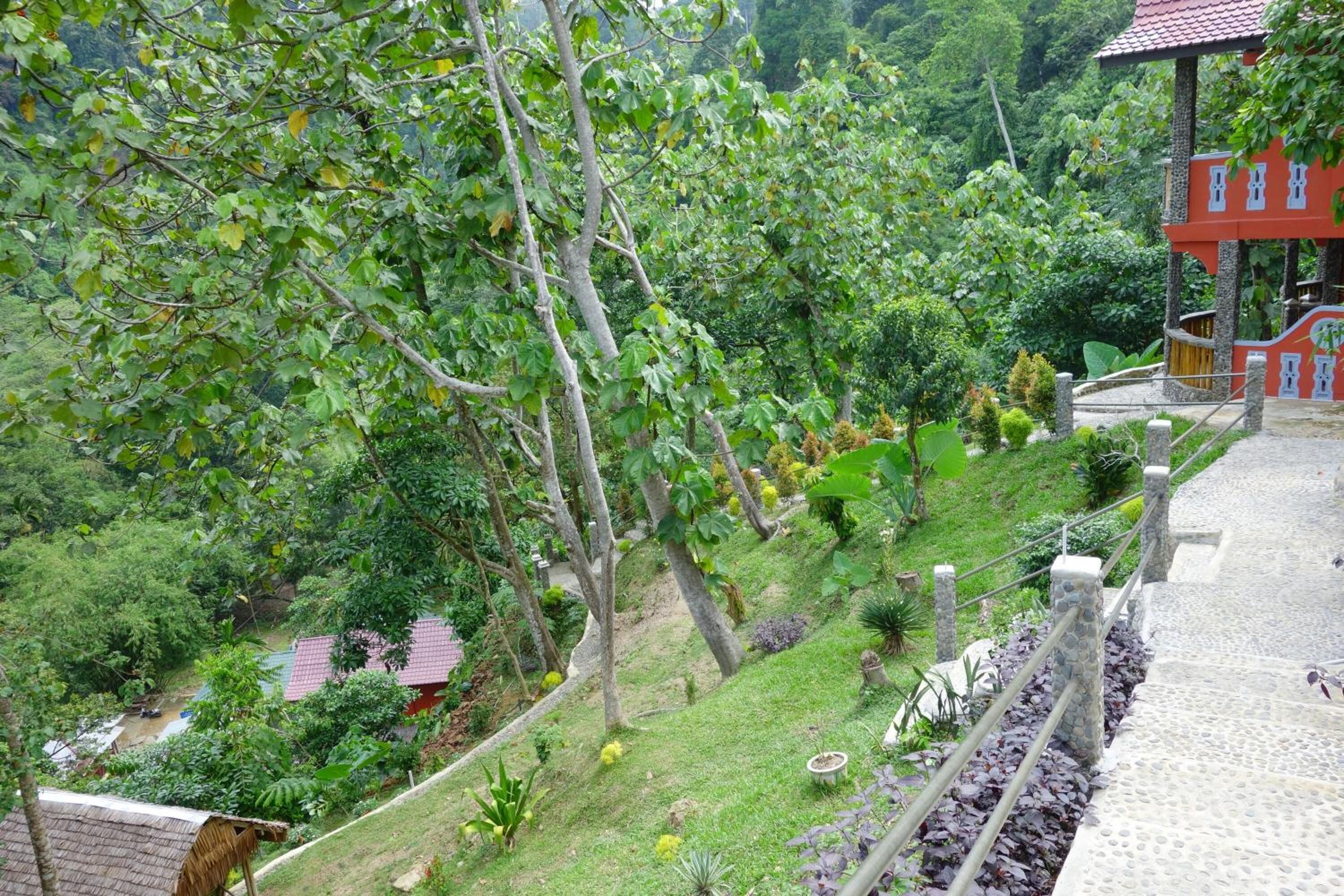 A lush garden with a stone pathway leading to a red-roofed building.