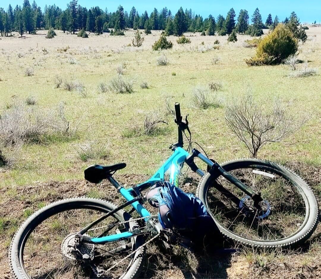 Una bicicleta de montaña azul acostada sobre el césped en un campo, con árboles al fondo.