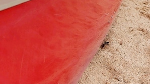 A red canoe with paddles on a sandy shore, a fishing rod, and a calm lake with mountains in the background. - Western Lodge (Kimberley)