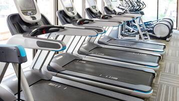 A row of treadmills in a gym with a window view.