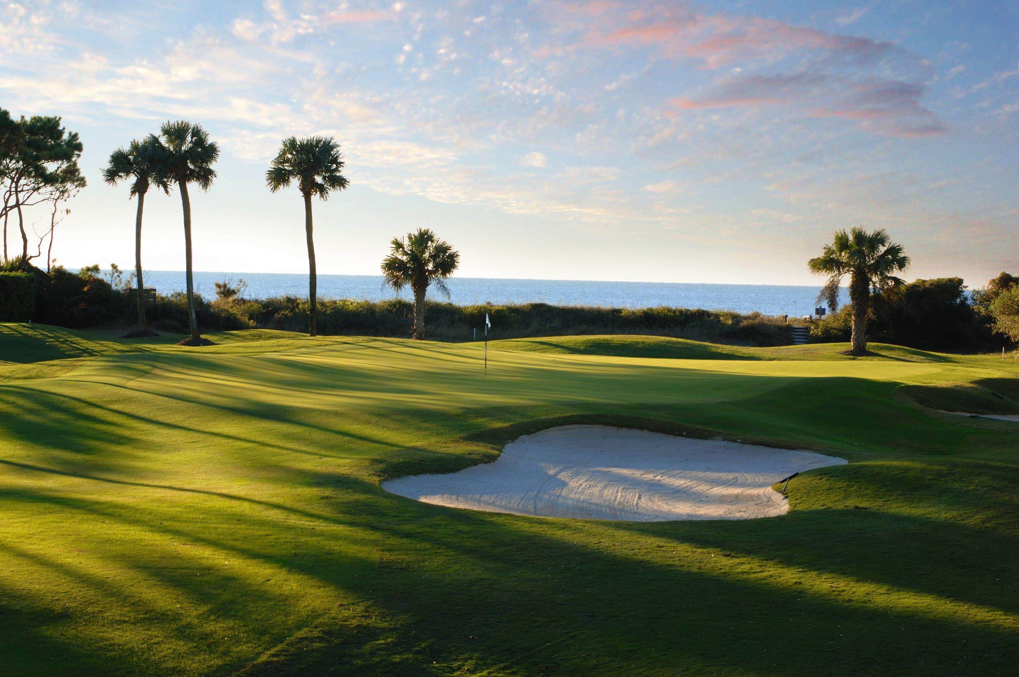 A golf course with a water hazard, palm trees, and a flagstick.