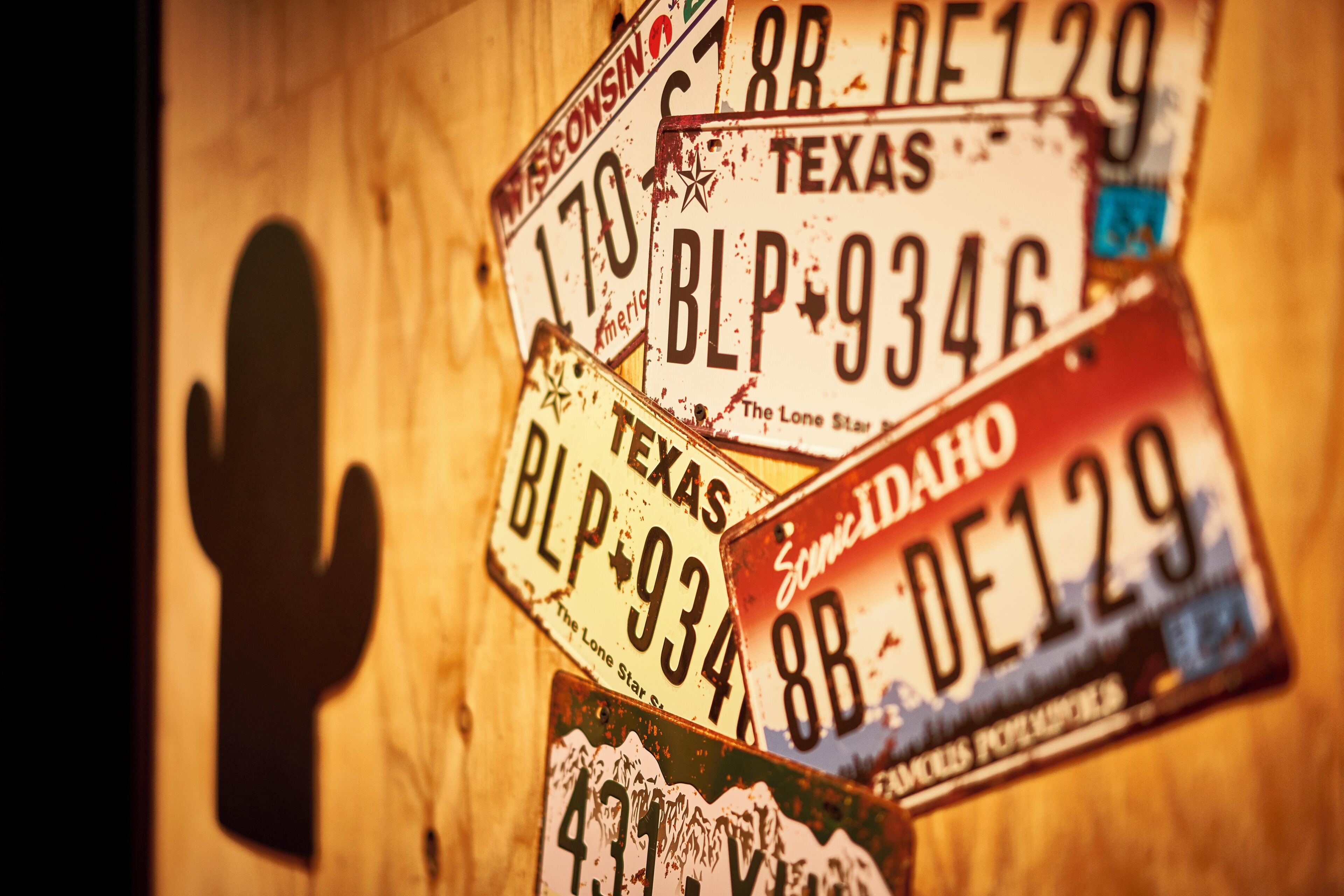 Photo - Focus Kuramae