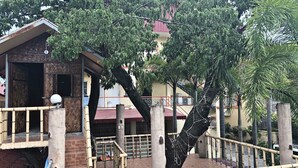 Un edificio con una escalera, un toldo rojo y un árbol en la fachada.