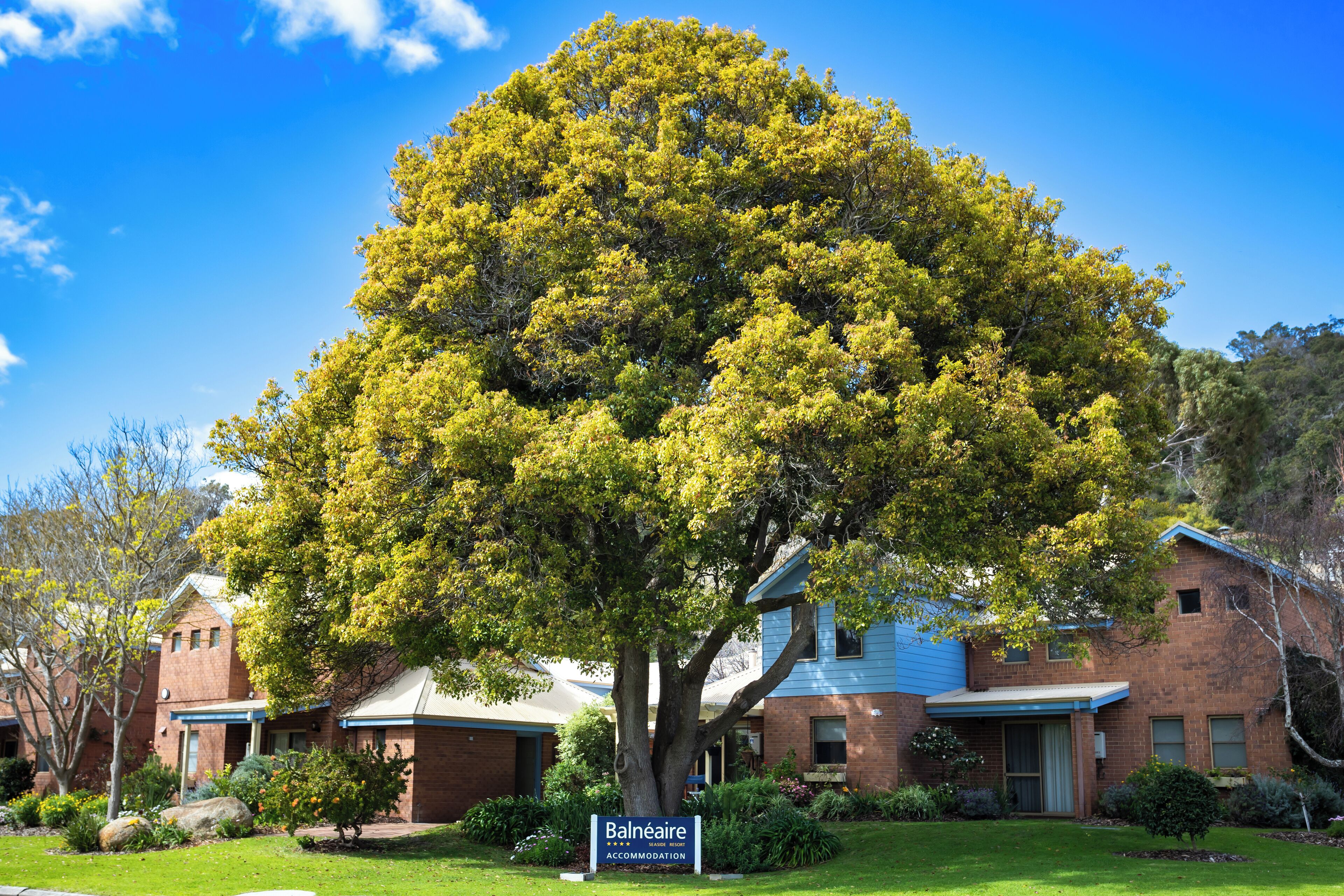 apartment | 3 bedrooms, individually decorated, individually furnished