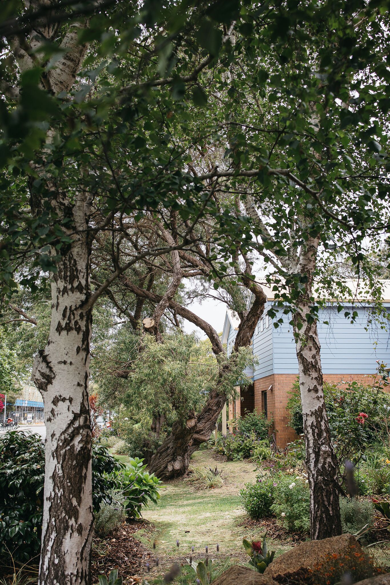 apartment | 3 bedrooms, individually decorated, individually furnished