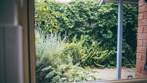 Vista desde una ventana a un jardín con diversas plantas y un muro de ladrillo.