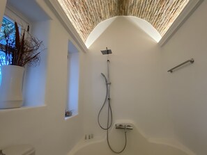 A modern bathroom with a skylight, a shower, and a small window with a plant.
