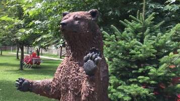 Khuôn viên nơi lưu trú