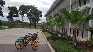 A modern building with a parking area, bicycles, and a well-maintained garden with palm trees.