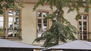 Un café en plein air avec des tables et des chaises, entouré de plantes en pot et bordé par un bâtiment aux grandes fenêtres.