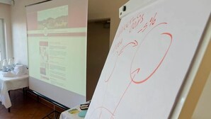 Montaje de presentación con una pizarra y una pantalla de proyección que muestra una diapositiva con texto e imágenes.