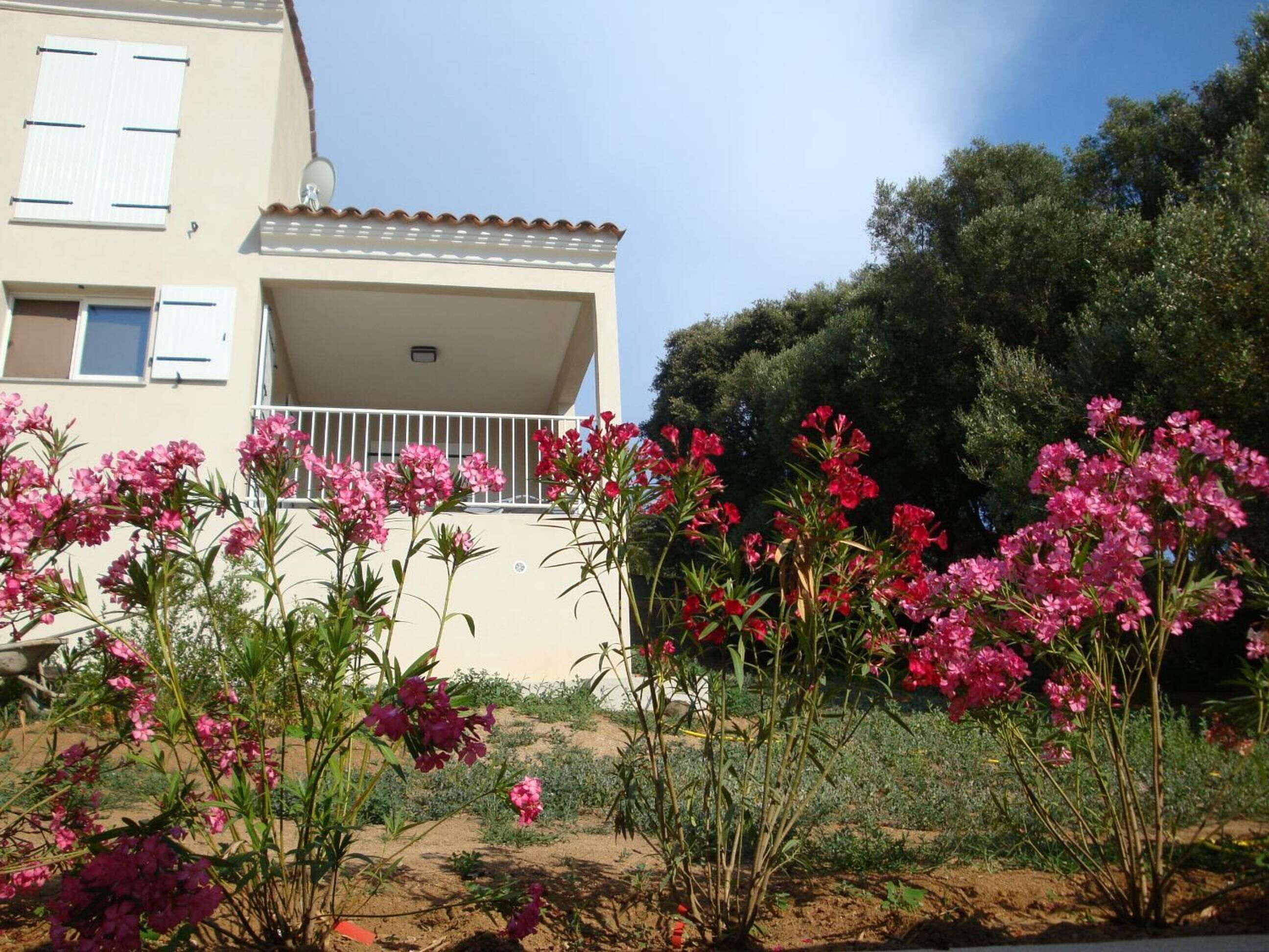 A residential building with a balcony, surrounded by flowering plants.
