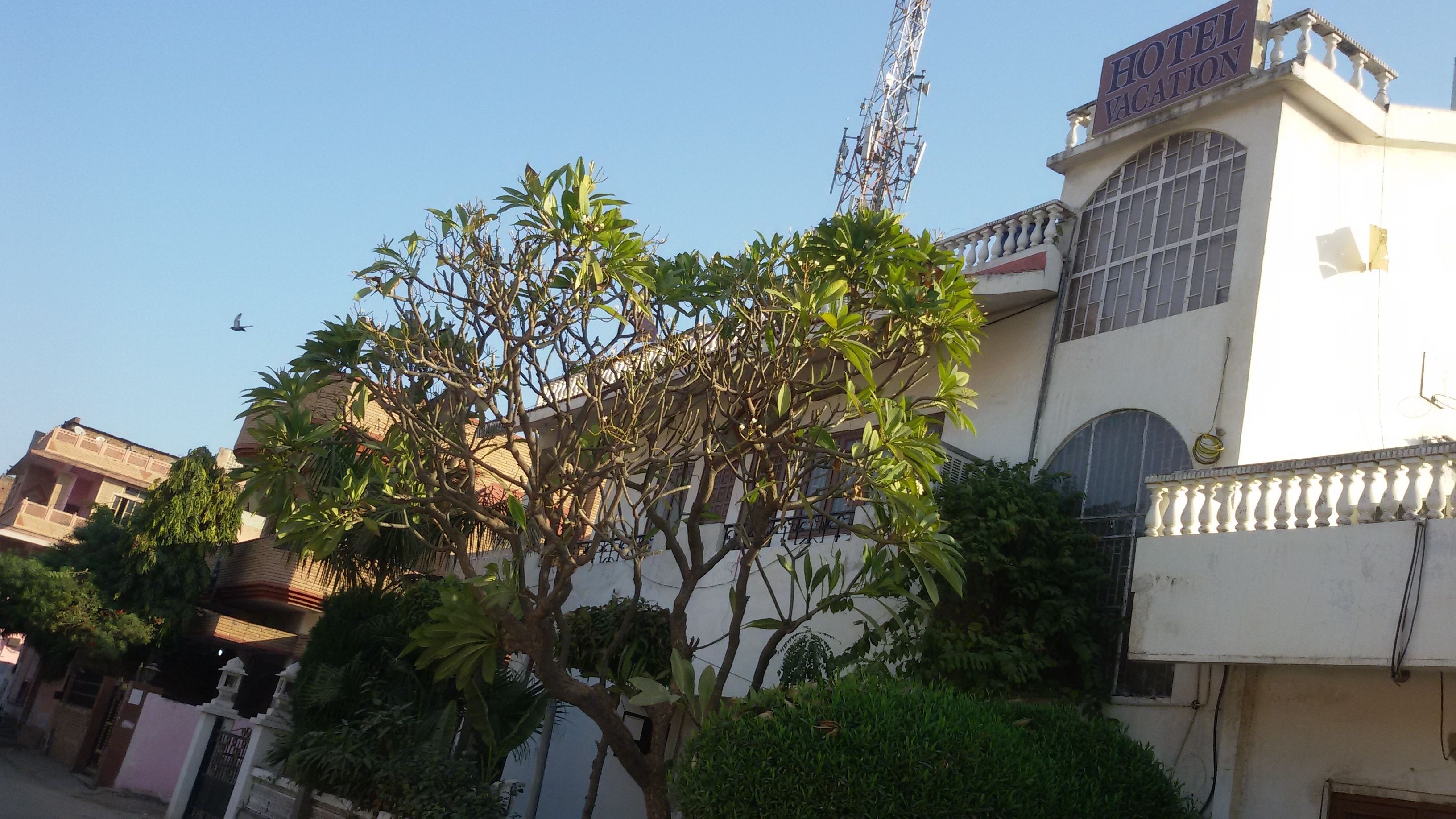 Vista desde la propiedad