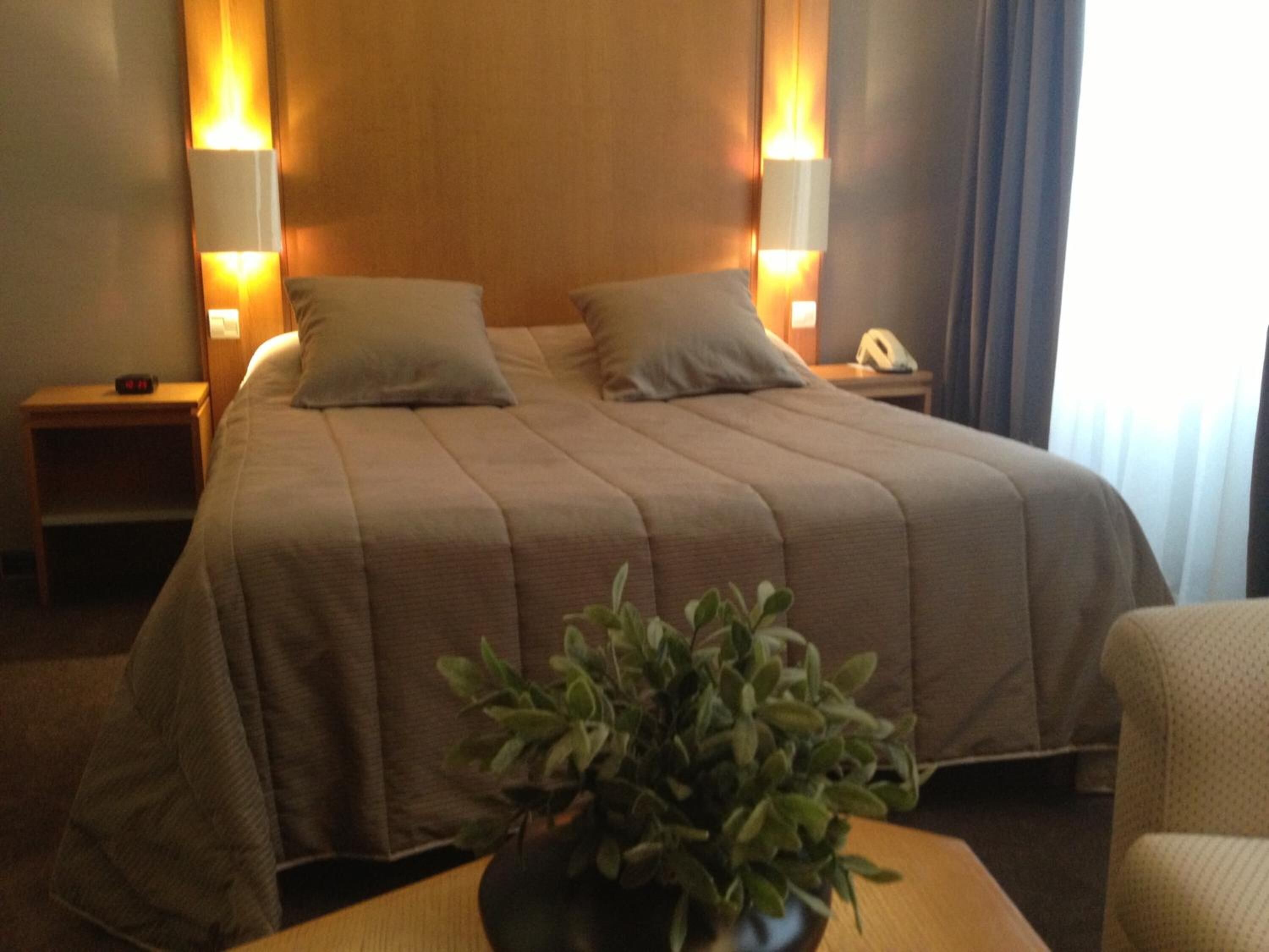 Une chambre d’hôtel avec un grand lit, deux tables de chevet, une petite table, une plante et une chaise.