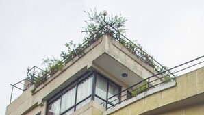 A multi-story building with a yellow facade, multiple windows with curtains, and a balcony with greenery.