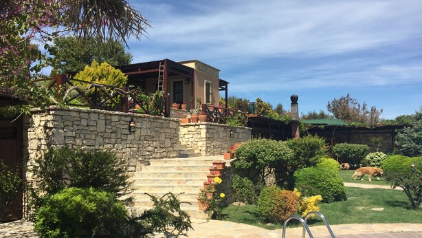 A pool area with stone steps leading to a house, surrounded by lush greenery and a clear blue sky. - Ada Bacchus Hotel (Bozcaada)